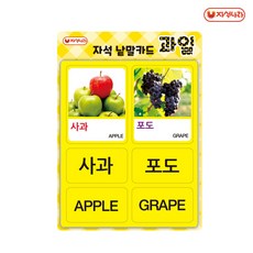 자석나라 자석낱말카드(소형) 택1, 과일, 1개