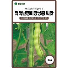 아람종묘 적색난쟁이 강낭콩 씨앗 30g 왜성 재래종 강낭콩씨 종자, 1개
