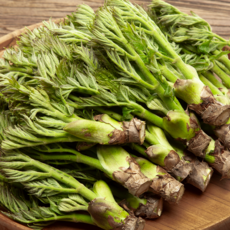 제철별미 최상급 참두릅 산지직송, 1개, 300g