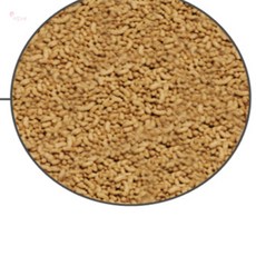 다있으예 거북이 사료 먹이 40g 거북보충제