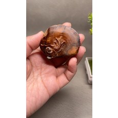 正宗北太行崖柏 黑油蝸牛手把件, 如圖所示, 1個