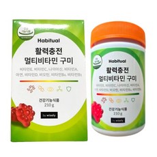 해비추얼 와이즐리 멀티비타민 구미 1개월분 594180, 1개