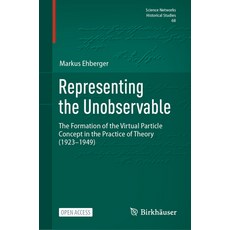 (영문도서)Representing the Unobservable: The Formation of the Virtual Particle Concept in... Hardcover, Birkhauser, English, 9783032091871