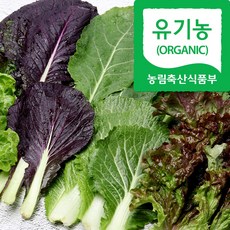 자연마을 친환경인증 유기농 당일수확 모듬 쌈 야채 샐러드 상추 모듬쌈, 1박스, 600g, 600g