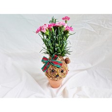[쩡토피어리] 카네이션 화분 공기정화 토피어리, 1개