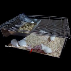 마우스.래트 실험용케이지(번식케이지) / Mouse Cage 특대, 1개