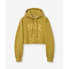 예일 우먼즈 아치로고 피그먼트 크롭 후드_옐로우 139009