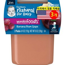 Gerber 유아용 2단계 이유식 오가닉 천연 곡물 과일 퓨레 2개입 226g 1개, 바나나 자두 포도(Banana Plum Grape), 3개