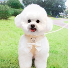 파스텔펫 반려동물 리본 곰돌이 하네스 리드줄 세트, 베이지, 1세트