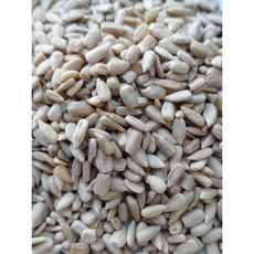 金協和 生葵瓜子仁 600g 葵瓜子仁生的 養身食品 養生食品, 1個