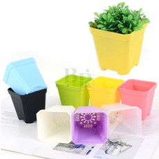 바구니룸 미니 컬러 사각 플라스틱 화분 다육식물, 소 - 핑크