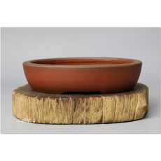 小樹安每 日本盆缽-張氏製陶 朱泥切立橢圓鉢 12cm 日式沙拉碗 盆器, 1個