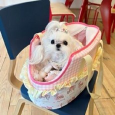 강아지 이동장 투명 토끼 고양이 케이지 켄넬 슬링백, 122개, 사계절용+쿨링매트