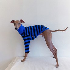 도기스타 아이쥐옷 이탈리안그레이하운드옷 배색 단가라티, 블루, 1개