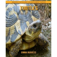 Turtles: Amazing Photos and Fun Facts about Turtles Paperback, Independently Published