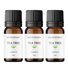향기제작소 퓨어 에센셜오일, 3개, 10ml, 티트리