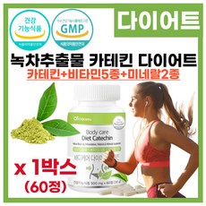 식물성 다이어트 원료 녹차추출물 다이어트 식 약 처 기능성인정 녹차 카테킨 카태킨 다이어트 건강 기능식품, 1박스, 30회분