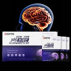 인지력 기억력 365 브레인 징코, 1박스, 180정