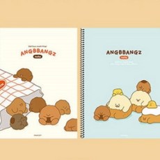 유선 스프링 노트 노트 노트 중 학생 고등 라인, 랜덤