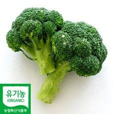 [산지선별] 국내산 유기농 브로콜리 특상, 1박스, 2kg