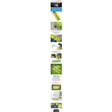 캠핑매트 에어매트 베게일체형 방수 자충매트 텐트매트 자동충전매트 캠핑 차박 매트리스 캠핑용 휴대용 충전매트1인용-6211, 3세트