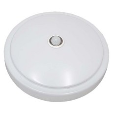感應王 CY-521AV 20W紅外線感應吸頂燈(全電壓) 智能感應 節能省電 安裝簡便 適用於各種居家空間, 1個