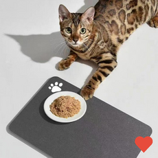 주방 수납 강아지 식기 매트 물기 흡수 깔개 규조토 애견, 30 x 40cm, 30 x 40cm