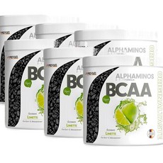 프로퓨엘 아미노산 라임맛 파우더 Profuel BCAA, 6개