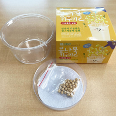 식물 재배 콩나물 키우기 키트 1개 집에서 가정용 어린이 학습 교구