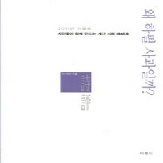 [개똥이네][중고-상] 시평 제46호 (계간) 2011 겨울호