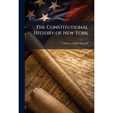 (영문도서)The Constitutional History of New York Paperback, Hutson Street Press, English, 9781023887670