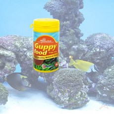 관상어사료 구피 물고기 밥 먹이 50grai6+1xfD