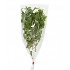 국내재배 한 동남아시아야채 향신료 홀라파 가파오 맹락 어성초 민트 박실라우 딜 등등, 라옴팍가옝 1봉×1개