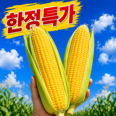 [2주초특가] 달콤아삭 과즙폭발 국산 초당옥수수, 1박스, 5개
