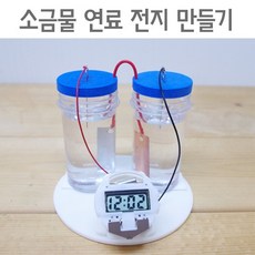 소금물연료전지(5인)