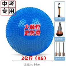 투포환 공 스포츠 던지기 육상용품 트레이닝 훈련 체육부 입시 연습용, 대입자청색2KG[급기바늘+수납봉투+펌프]