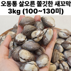 남해안 통통한 새꼬막 피꼬막 특대 피조개 산지직송 1차세척, 1박스, 새꼬막 대짜 3kg