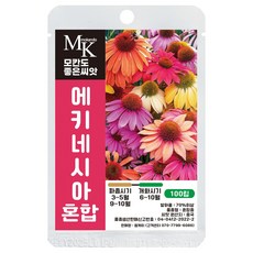 모칸도 좋은씨앗 에키네시아 혼합 씨앗 100립 꽃씨 꽃씨앗, 1개