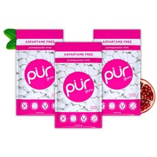 PUR 껌 | 아스파탐 무첨가 츄잉껌 | 100% 자일리톨 PUR Gum | Aspartame Free Chewing Gum | 100% Xylitol | Natural Pome, 79g, 1개