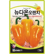 세계종묘 뉴다온오렌지 씨앗 10립 주황 미니 파프리카 피망 씨 종자, 1개