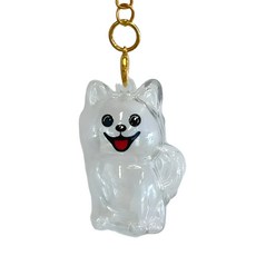 반려견 강아지 털 보관 아크릴 키링 (랍스터 고리 증정), 1개, O멍