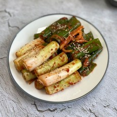 HACCP인증 국산 전라도 통대파김치 2kg 식감좋은김치 당일제조 명품김치 수작업 소포장 -, (맛보기용)통대파김치 1kg