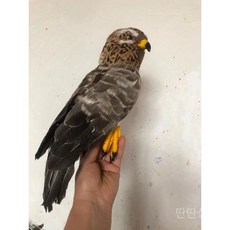 과수원독수리모형 독수리모형 농사 조류퇴치용 50cm 새 과수원 길이 피규어 장난감 모형, C. 브라운(40cm)