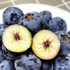 보랏빛 달콤한 국내산 생 블루베리 SY, 1개, 중과 100g x 2팩