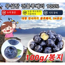 1kg/2kg 건조 블루베리 100% 프리미엄 무설탕 야생 블루베리 건과일, 5박스, 100g/봉지
