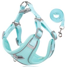 디아쿠아 야광 빛반사 메쉬 강아지 하네스 리드줄 세트, 민트