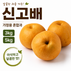 신고배 가정용 배 3kg 5kg 아삭한 과즙 국산배, 1박스, 3kg (가정용 혼합과)