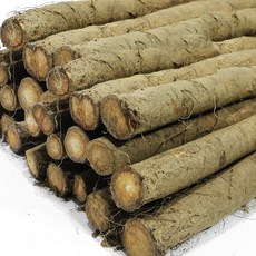 국내산 햇 생 우엉, 상품2kg, 1개