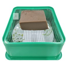 해밍웨이샵 사각 묵채 국산우뭇가사리채칼, 사각우무가사리채, 1개