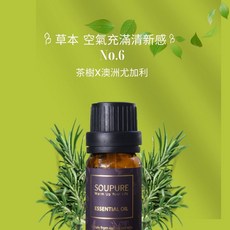 SOUPURE 溯璞家品 森林空氣清新精油, 1個, 尤加利+茶樹